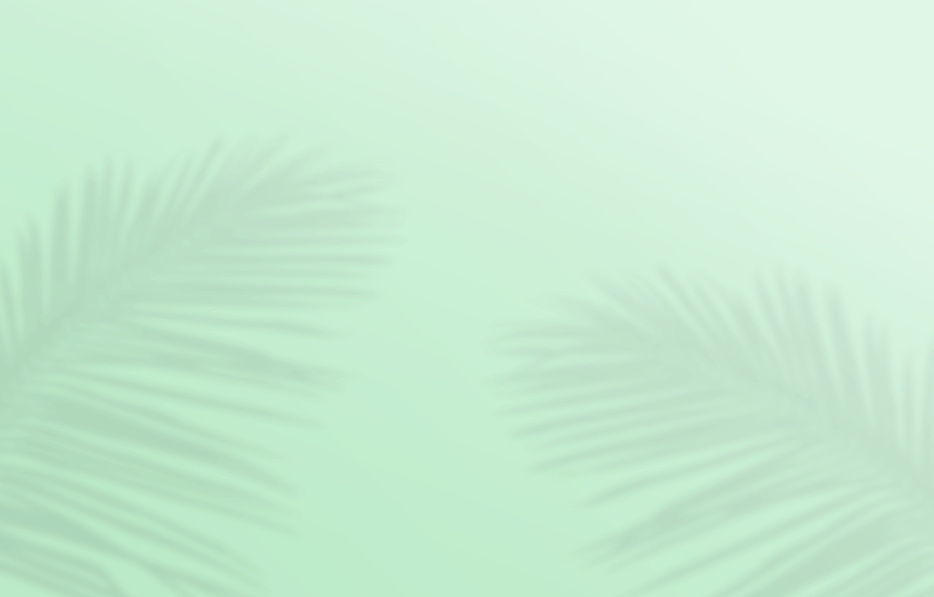 Wallpaper Nature Summer Background of Palm Leaves on a Green Bac